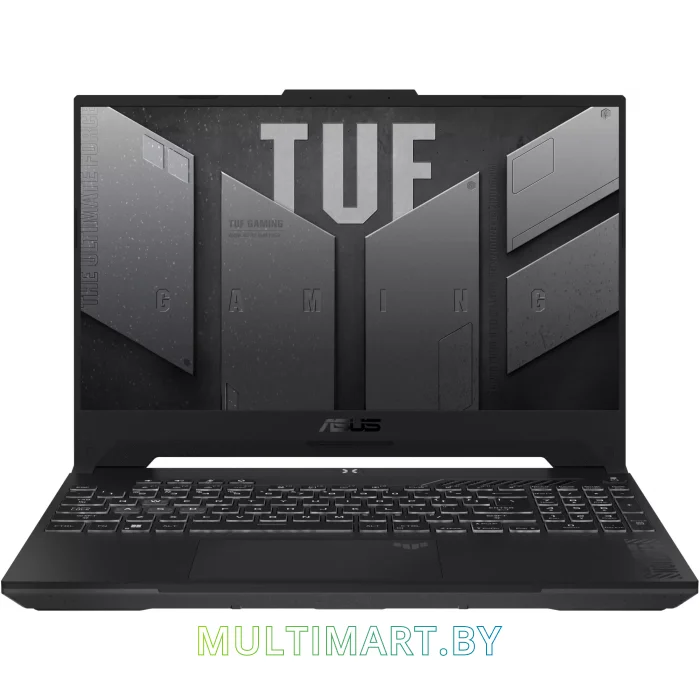 Игровой ноутбук ASUS TUF Gaming F15 FX507VV-LP314 (90NR0BV7-M00NV0)